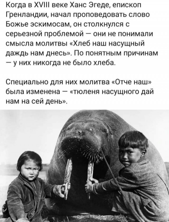 Бредзона 09.02.21