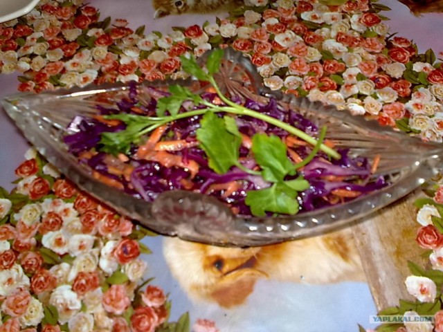 Праздничный обед для чайников от Дженибека&Бомжыка