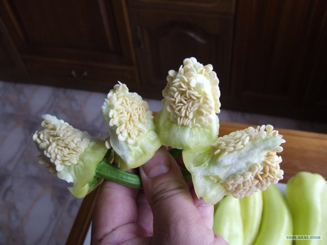 Очень кушать хочется.