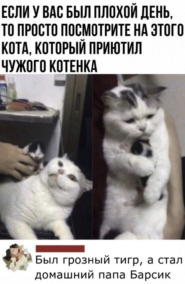 Картинки и мемы для настроения 19.08.2021