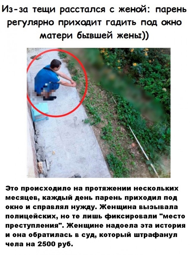 Картинки и мемы для настроения 003