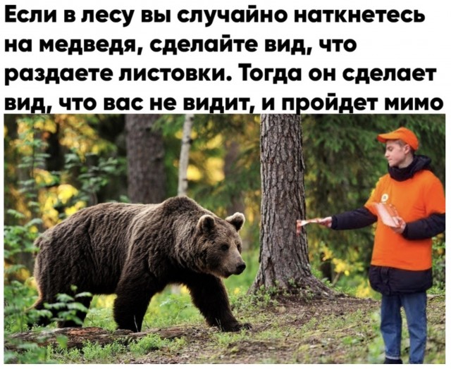 Как подготовиться к встрече с медведем