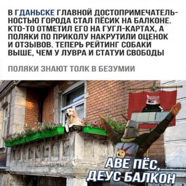 Картинки и мемы для настроения 23.09.2021
