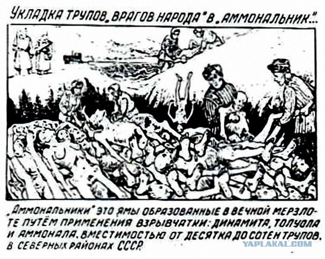 Заброшенный рудник в русской Арктике с оставленными 100 лет назад посланиями