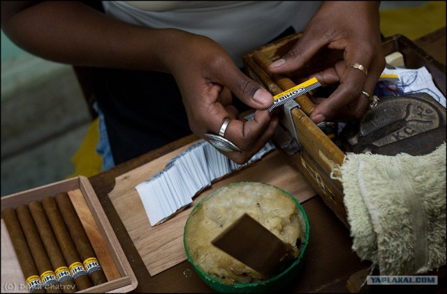 Сигарная фабрика Cohiba