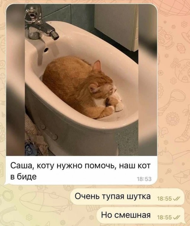 Чуток картинок 16.02.22