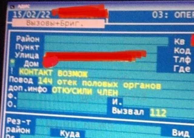 Так себе картинки 20.02.22