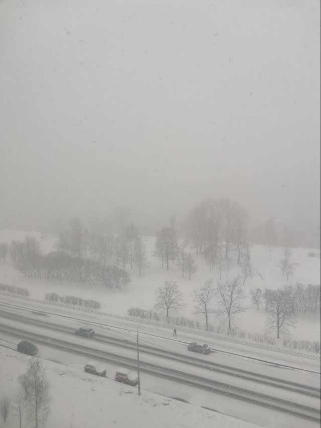 В Питере весна!