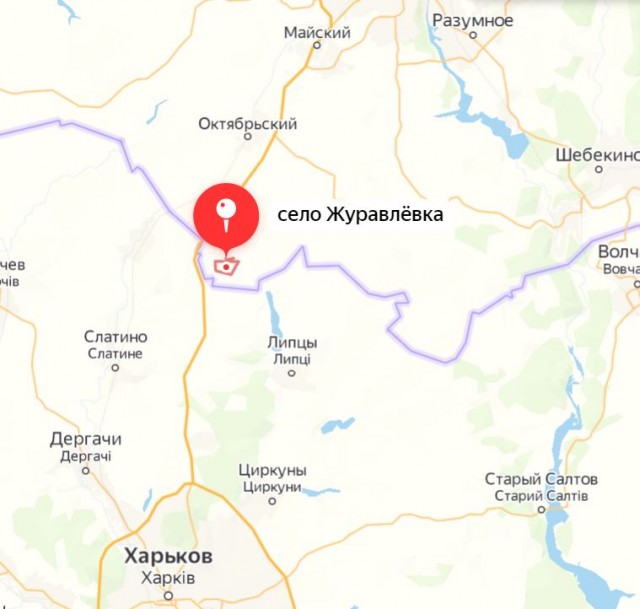 Пандемия. Коронавирус и съехавшие крыши. Россия и мир. Часть 33.