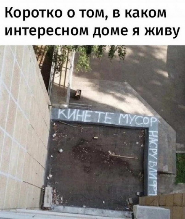 Разные аморальные картинки на пятницу 13.05.2022