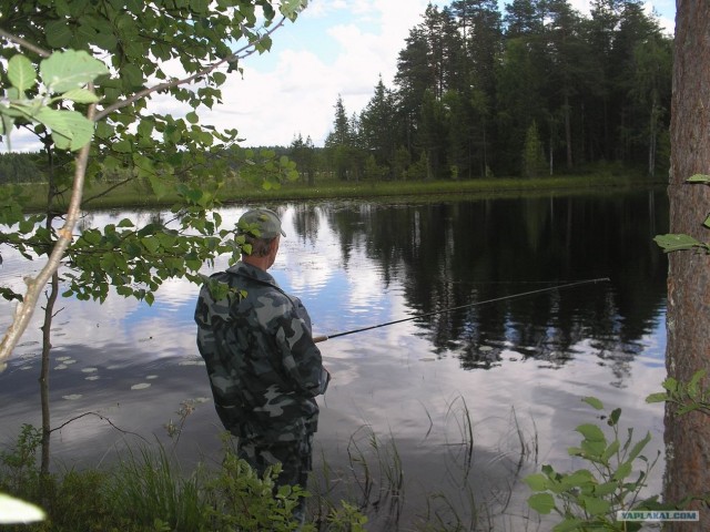 Открытая вода