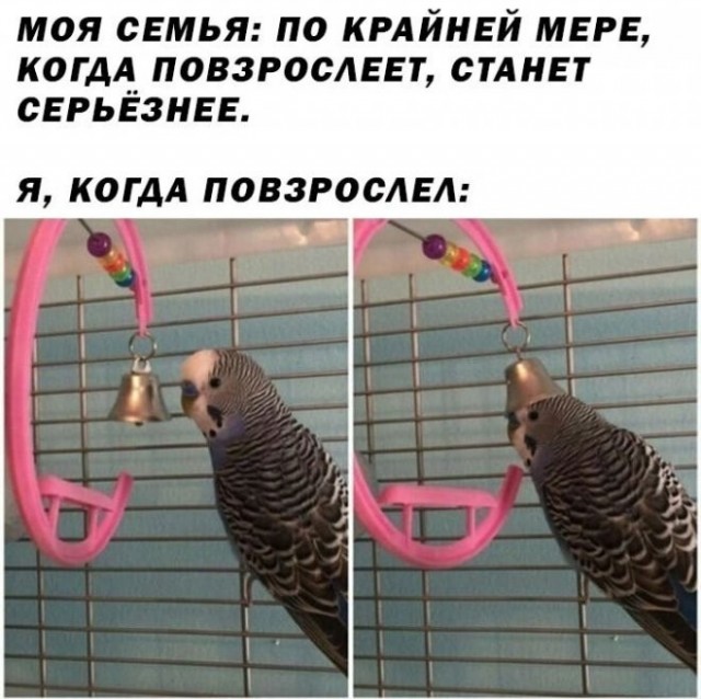 Картинки с надписями 9.08.22