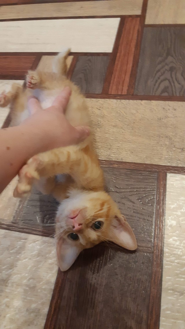 Большая разница в возрасте: хочу развестись, чтобы не содержать мужа на пенсии