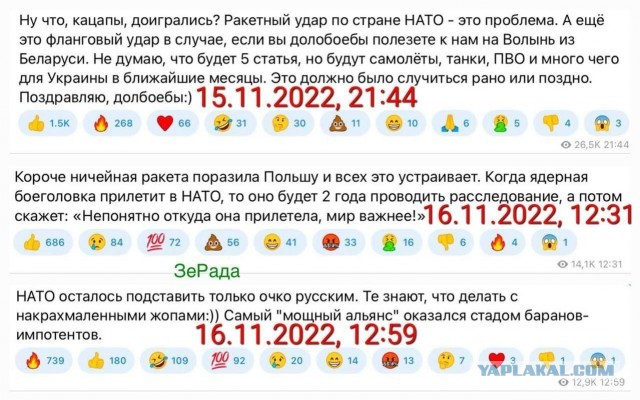 А что думают поляки про своё ЧП?