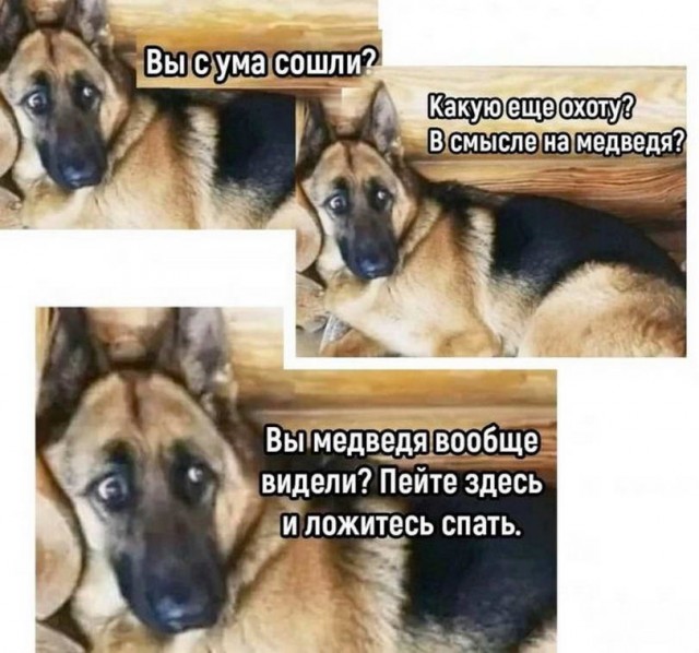 Немного картинок для настроения - 127