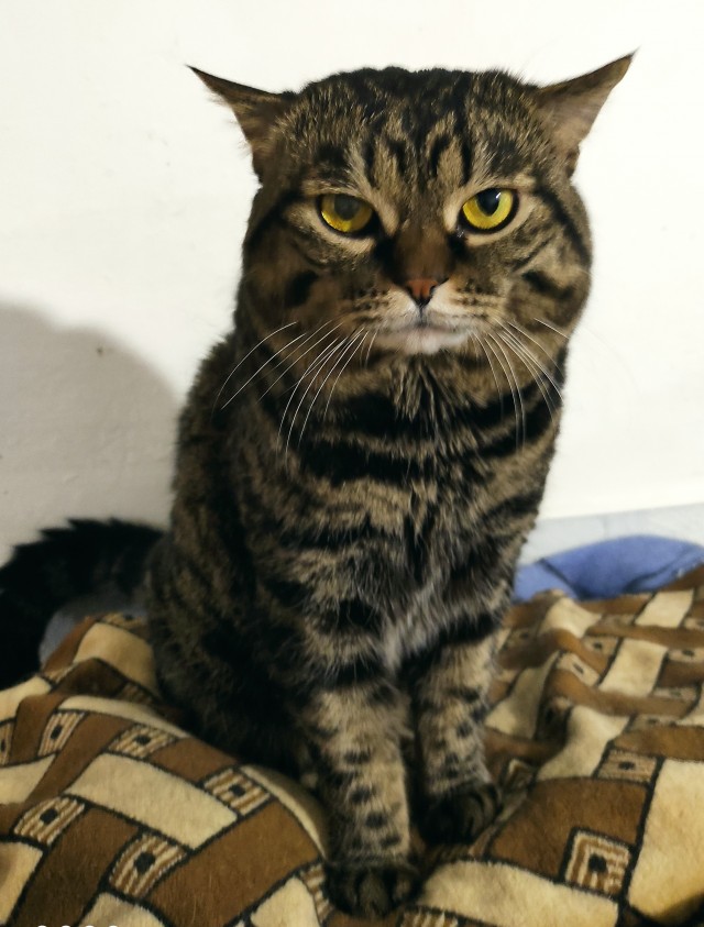 Боль не знает границ...