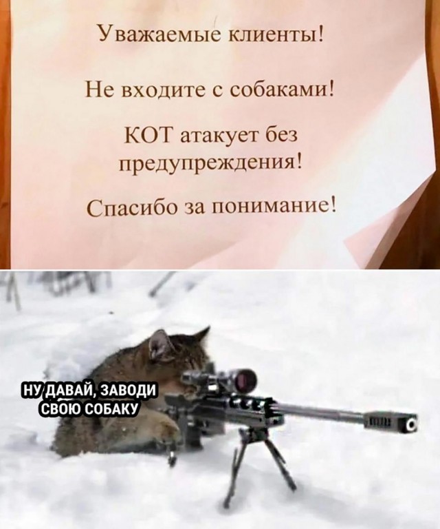 Немного картинок для настроения 07.03.2023