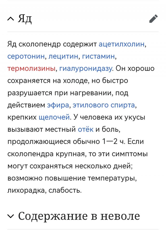 Гигантская сколопендра. Вьетнам.