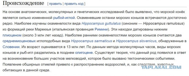 Самая медленная рыба в мире