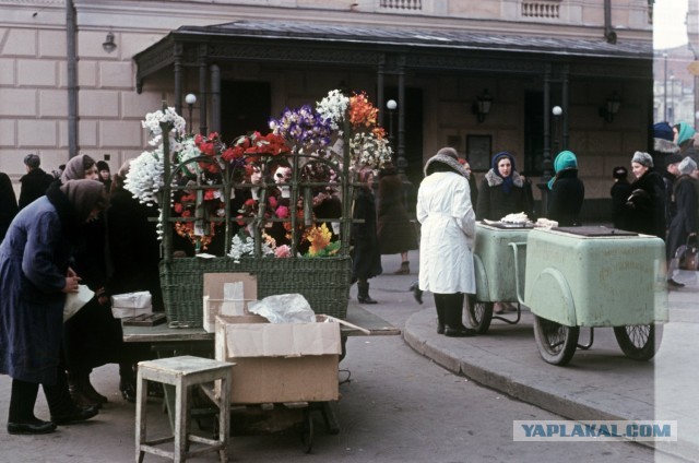 Москва 1953