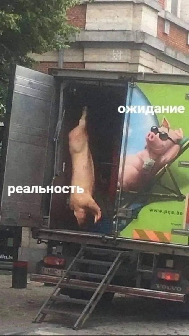 Немного картинок разной степени новизны и адекватности