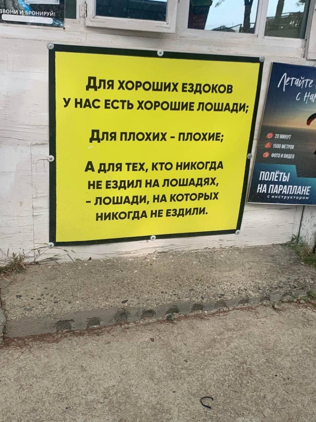 Народная меДИЧина 2004
