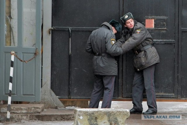 Российская "полицейская академия"