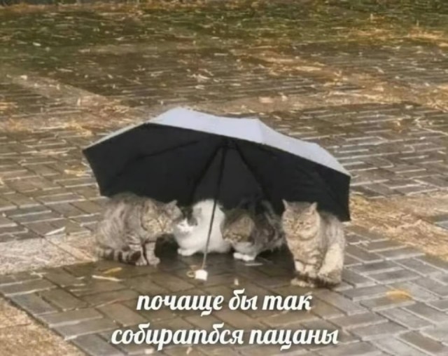 Завалялось тут случайно немного забавных картинок