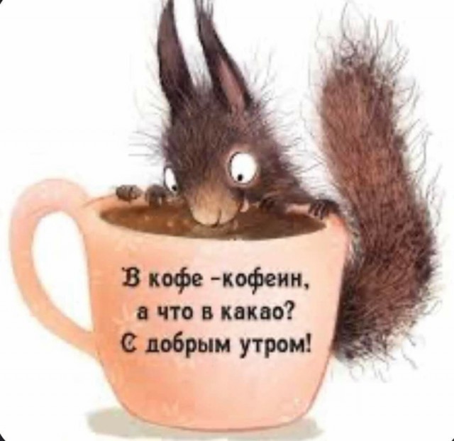 Нуштош 04.10.2024