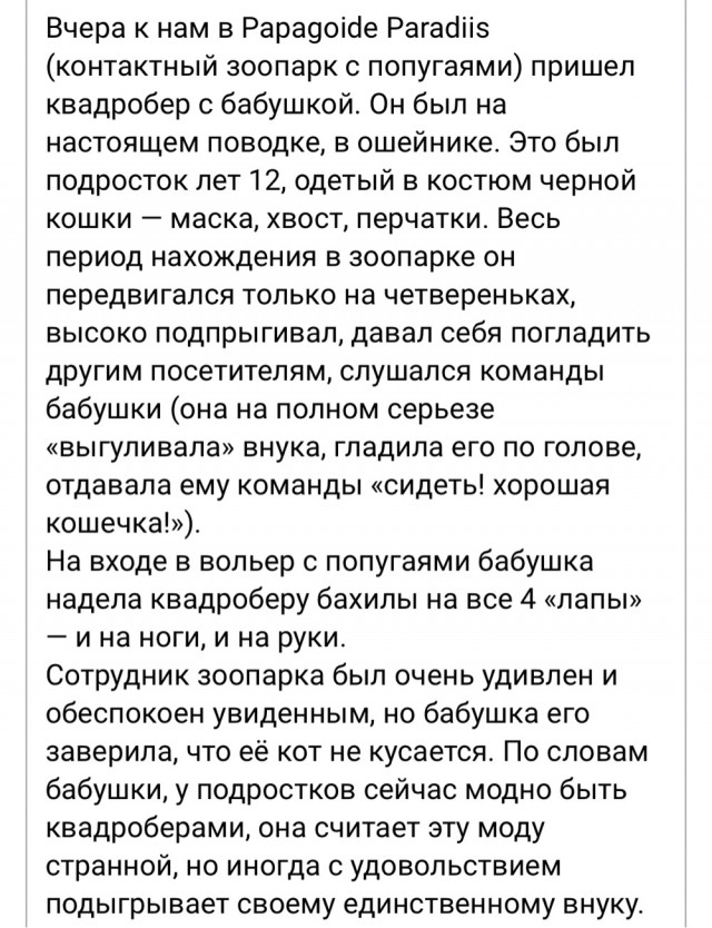 Когда в семье единственный внучара