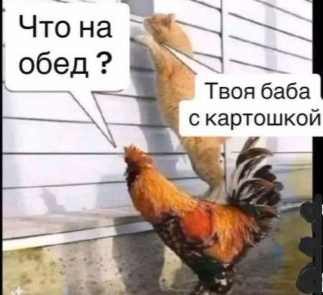 Пафосная подача курицы-гриль