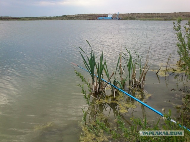 Рыбалка с точки зрения городского парня :)