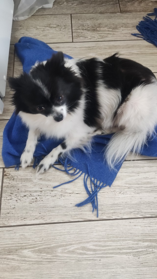 Четверг всё-таки.