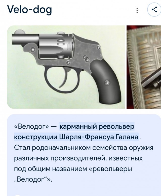 Как навсегда отучить лаять незнакомую собаку