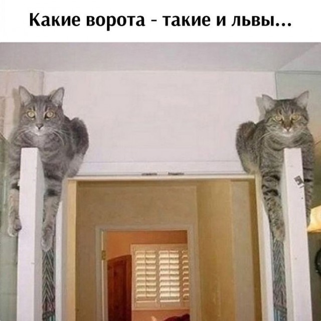 Четверговые картинки
