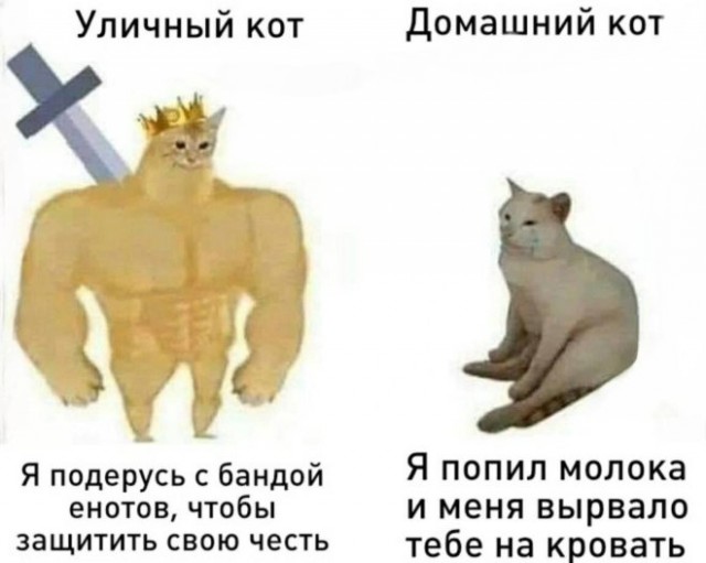 Картиночки, баянчики 08 января