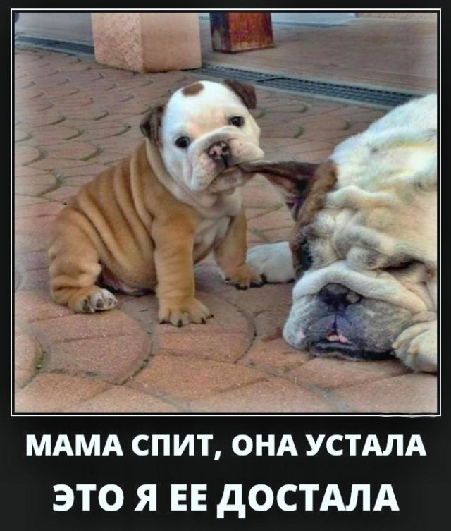 Вторника картинки