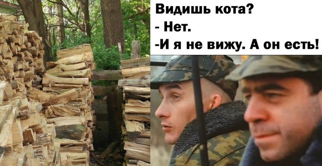 Подборка картинок к котовторнику