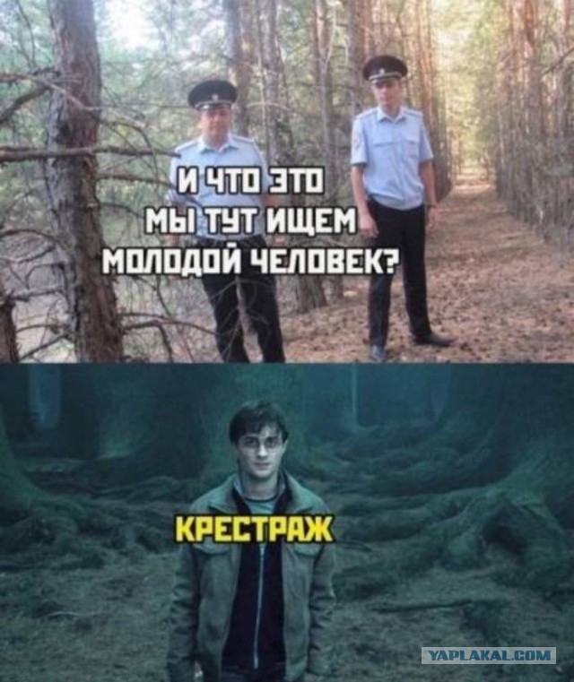 Так себе картинки 30.06.26