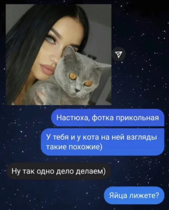 Картинки для деградации 270 (разной степени свежести)
