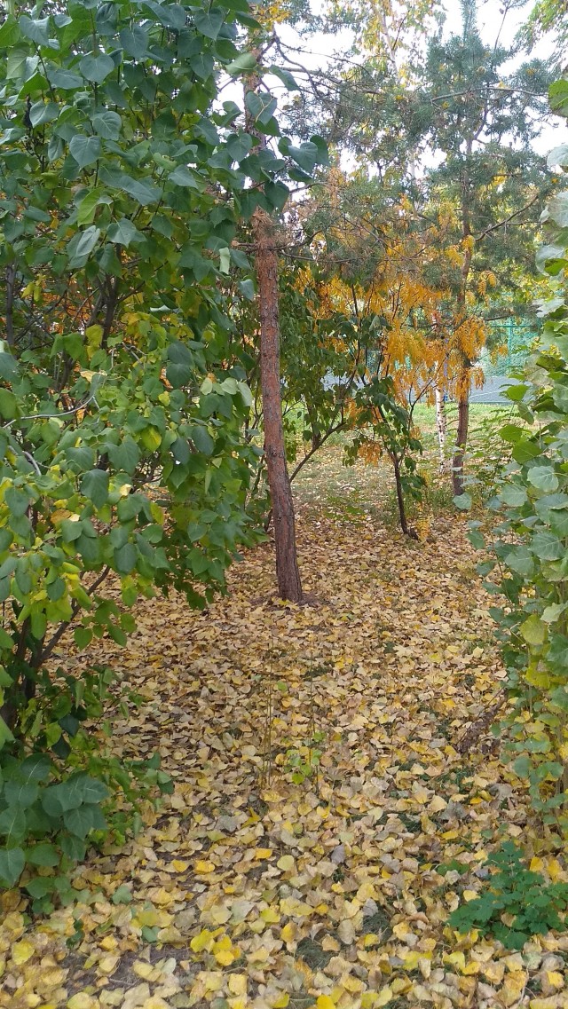 Год назад и сейчас.