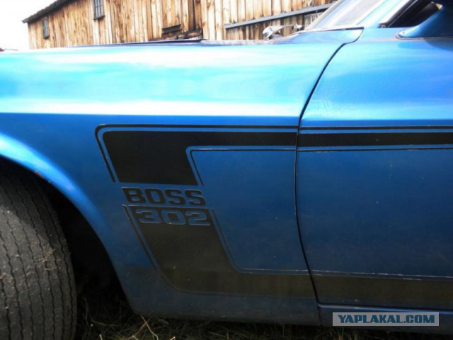 В сарае нашли уникальный Ford Mustang Boss 302