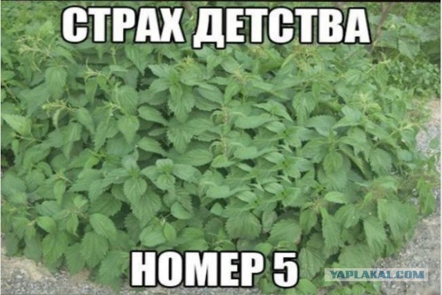 Страхи нашего детства