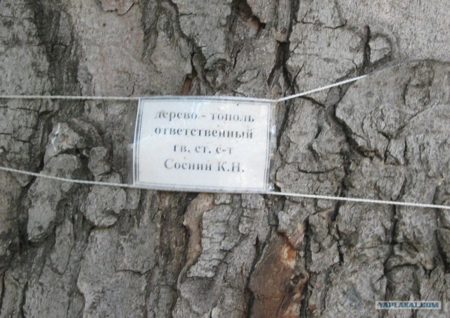 Какой будет российская армия через 10 лет?