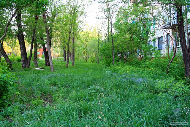 Апрель 2012