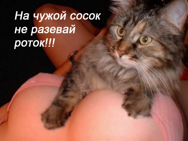 Очень ЯПовское фото