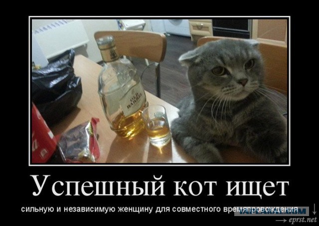 Есть ли смысл в моей жизни?
