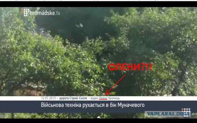 Колонна техники всу движется в сторону Мукачево