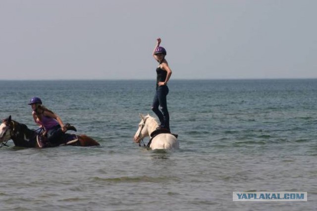 Подборка прикольных картинок на понедельник