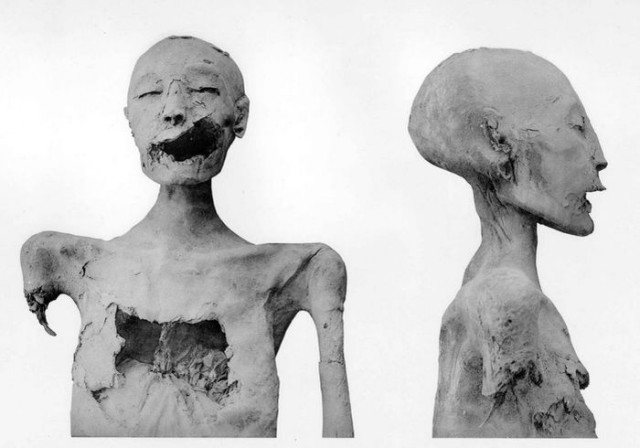 Исторические личности в реальной жизни
